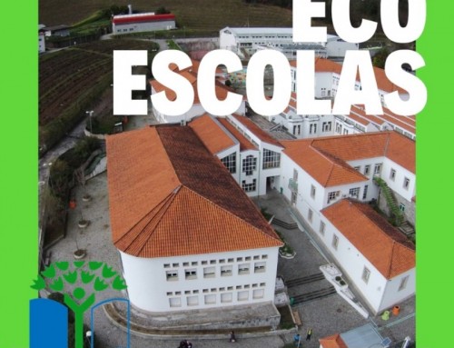Atividades Eco-Escolas – 2021