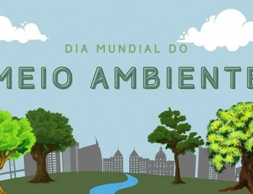 Dia Mundial do Ambiente