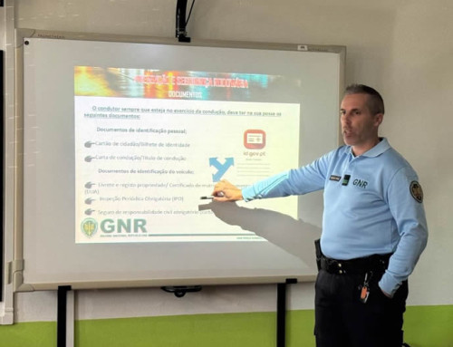 Risco e Segurança Rodoviária